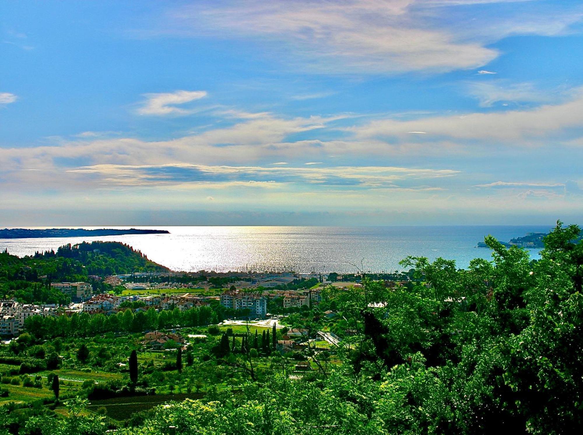 Apartamento Sea View Olive Retreat Portoroz Exterior foto